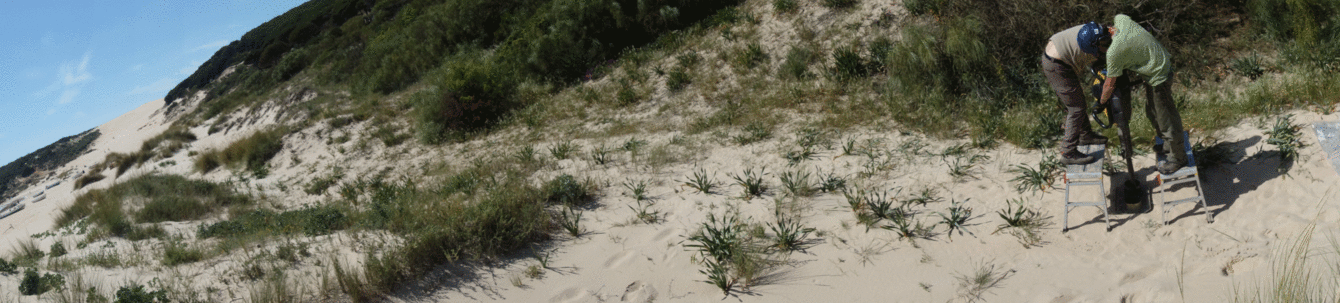 <em>Baelo Claudia, a Roman city on the Strait of Gibraltar (Spain)</em>