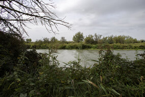 Le chenal actuel du Grand Rhône